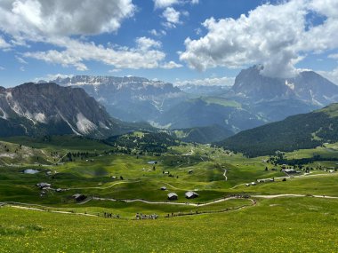 Nefes kesici bir Alp manzarası, yemyeşil çayırlar ve mavi gökyüzünün altında yükselen dağlar sergileniyor..