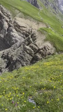 Canlı kır çiçekleriyle süslenmiş kayalık uçurumların çarpıcı manzarası, resim gibi bir manzara. Dikey video. Dolomitler.