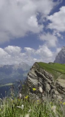 Bereketli yeşil çimenler ve canlı kır çiçekleriyle nefes kesici dağ manzaraları. Dikey video. Dolomitler.