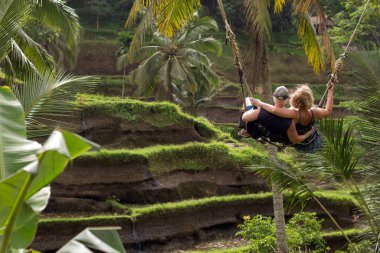 Güzel Bali 'deki pirinç teraslarında salıncakta salıncakta sallanma heyecanı..