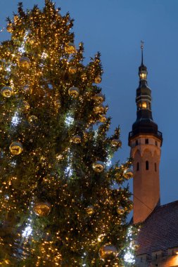 Tallinn 'de göz kamaştırıcı bir Noel ağacı ve gün batımında tarihi kulesi olan şenlikli bir atmosfer..