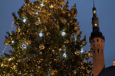 Tallinn 'de ışık ve süslerle süslenmiş bir Noel ağacı alacakaranlıkta ışıl ışıl parlıyor.