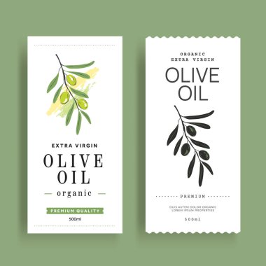 Zeytinyağı etiketi şablonu. Zeytin dalı ile vektör paketleme düzeni.
