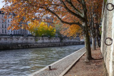 PARIS, FRANCE - 02 Kasım 2023: Ile Saint-Louis, diğer adıyla Ile Saint-Louis, Paris 'in merkezinde, Seine Adaları' nın doğusunda yer alan ve hayatta kalan iki küçük adadan biridir.
