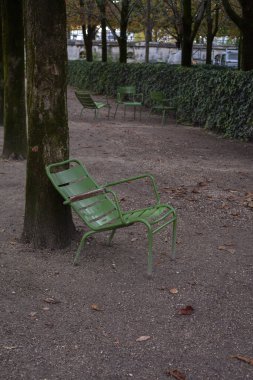 PARIS, FRANCE - 01 Kasım 2023: Tuileries bahçesinde geleneksel yeşil sandalyeler. Sonbahar