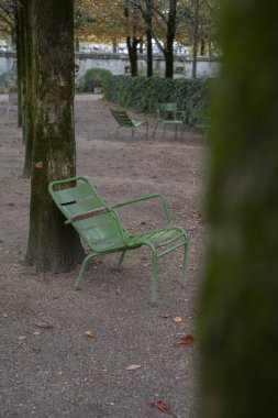 PARIS, FRANCE - 01 Kasım 2023: Tuileries bahçesinde geleneksel yeşil sandalyeler. Sonbahar