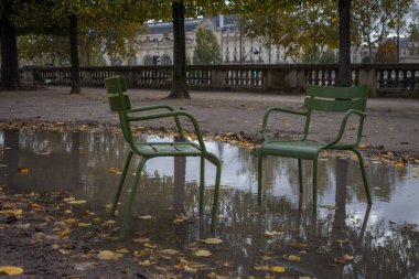 PARIS, FRANCE - 01 Kasım 2023: Tuileries bahçesinde geleneksel yeşil sandalyeler. Sonbahar