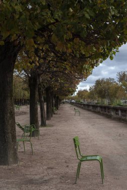 PARIS, FRANCE - 01 Kasım 2023: Tuileries bahçesinde geleneksel yeşil sandalyeler. Sonbahar