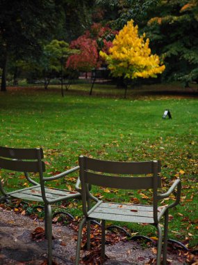 PARIS, Fransa - 11.01.2024: Sonbaharda Paris 'te Lüksemburg Parkı