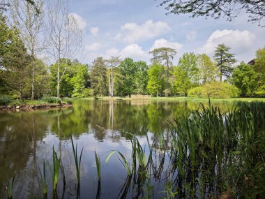 Kalede muhteşem bir yırtık var. Doğa baskısı.