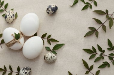 Paskalya yumurtaları, bıldırcın yumurtaları ve ışık altında ağaç dalları. Doğal keten kumaş..