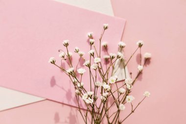 Pembe ve beyaz kart modeli, pembe arka planda beyaz çigila. Tebrik kartı, kadınlar günü, anneler günü, sevgililer günü, doğum günü, fotokopi alanı..