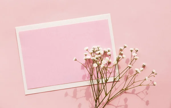 Stock image Mockup of a pink card with gypsophila on a pink background. Womens day, greeting card, mothers day, Valentines day, birthday, copy space.