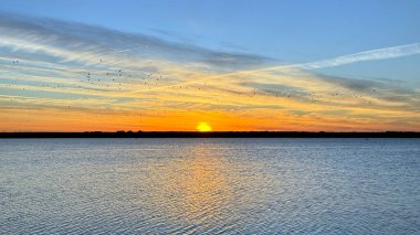 Bir martı sürüsüyle gölün üzerinde gün doğumu