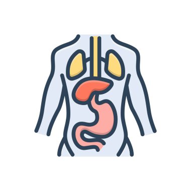 Anatomi için renk illüstrasyon simgesi 