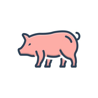Domuz için renk illüstrasyon simgesi 
