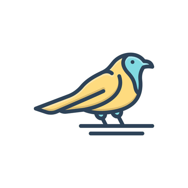 Color illustration icon for robin 