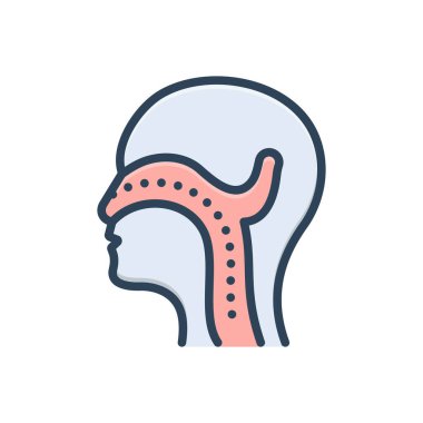 Gırtlak için renk resimleme simgesi