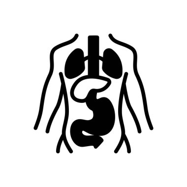 Anatomi için siyah katı simge 