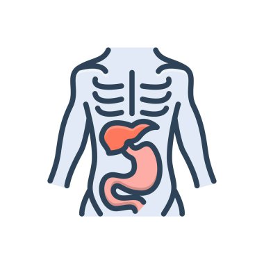 Anatomi için renk illüstrasyon simgesi 