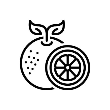 Black line icon for orange