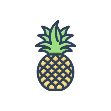 Ananas için renk illüstrasyon simgesi 