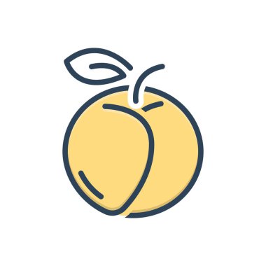 Kayısı için renk illüstrasyon simgesi 