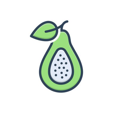 guava için renk illüstrasyon simgesi  