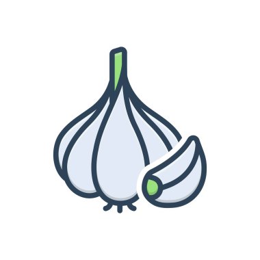 Sarımsak için renk illüstrasyon simgesi 