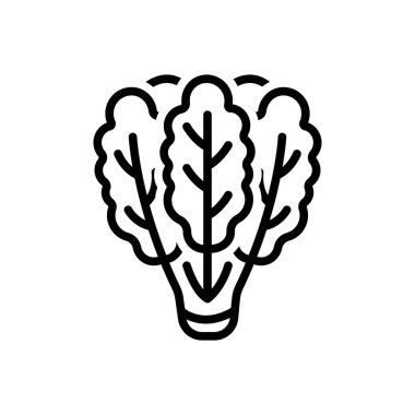 Lahana için siyah çizgi simgesi 