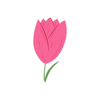 Color icon for tulip clipart