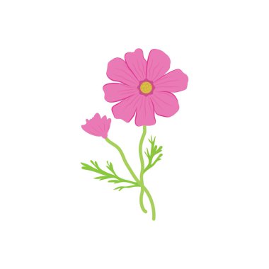 Kozmos için renk simgesi