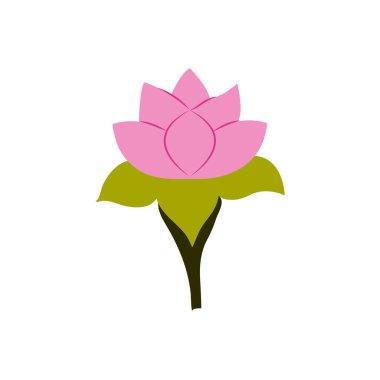 Lotus için renk simgesi 