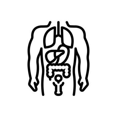 Anatomi için siyah çizgi simgesi 