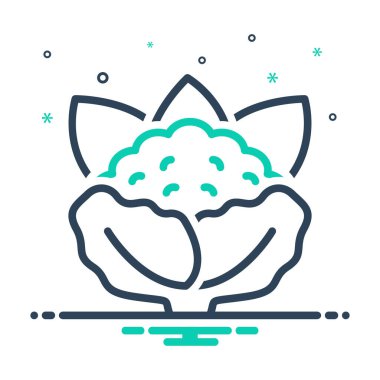 Karnabahar için simgeyi karıştır 