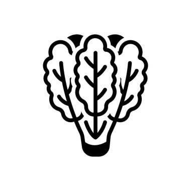 Lahana için siyah katı simge 