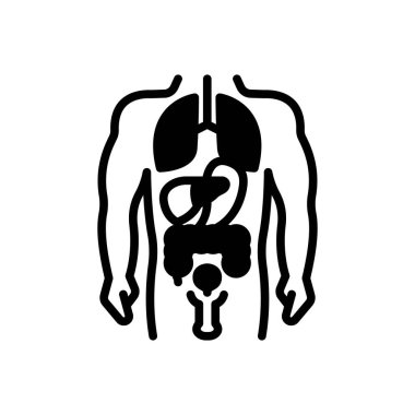 Anatomi için siyah katı simge 