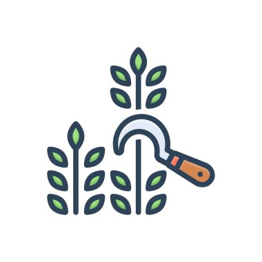 Hasat için renk illüstrasyon simgesi 