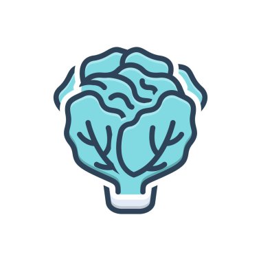 Marul için renk illüstrasyon simgesi 