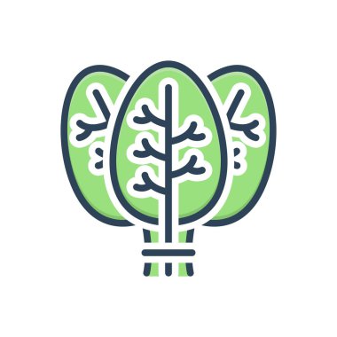 Ispanak için renk resimleme simgesi 