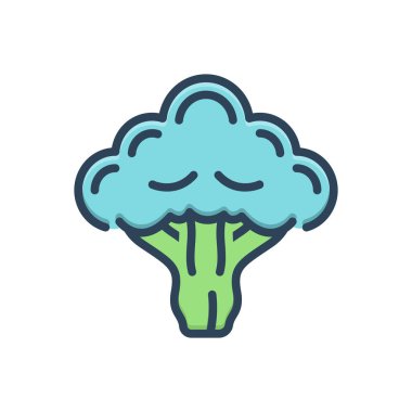 Brokoli için renk illüstrasyon simgesi 