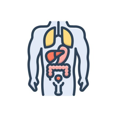 Anatomi için renk illüstrasyon simgesi 