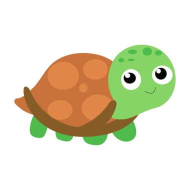Kaplumbağa için renk simgesi 