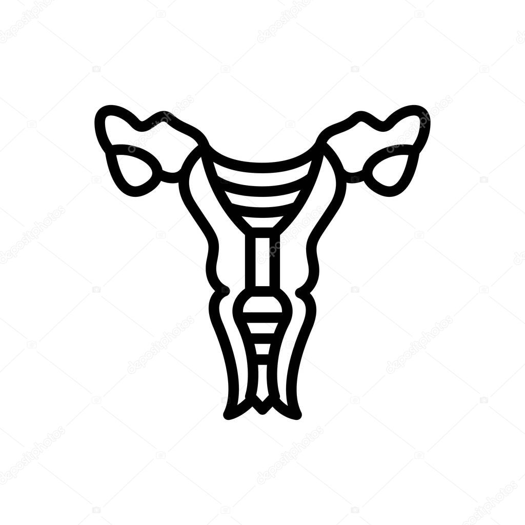 Black line icon for uterus