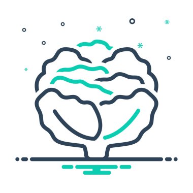 Lahana için simge karıştır 