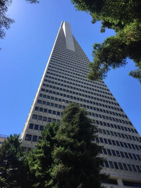 San Francisco, Kaliforniya 'daki Transamerica Piramidi. Şehirdeki şehir merkezi sahnesi, körfez kenarında, bir Finansal Bölge simgesi..