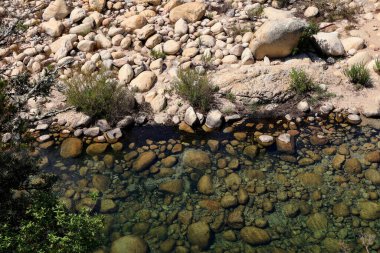 Lake with a riverbank in a natural park clipart