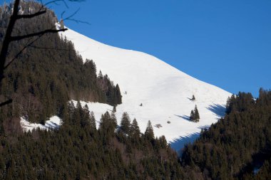 Kış mevsiminde Avusturya dağlarında kayak ve snowboard alanı
