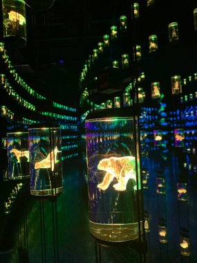 Dubai Geleceğin Müzesi 'ndeki hayvan ve bitki bankası.