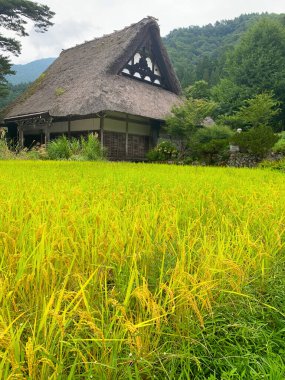 Shirakawa-go, Japonya manzarası